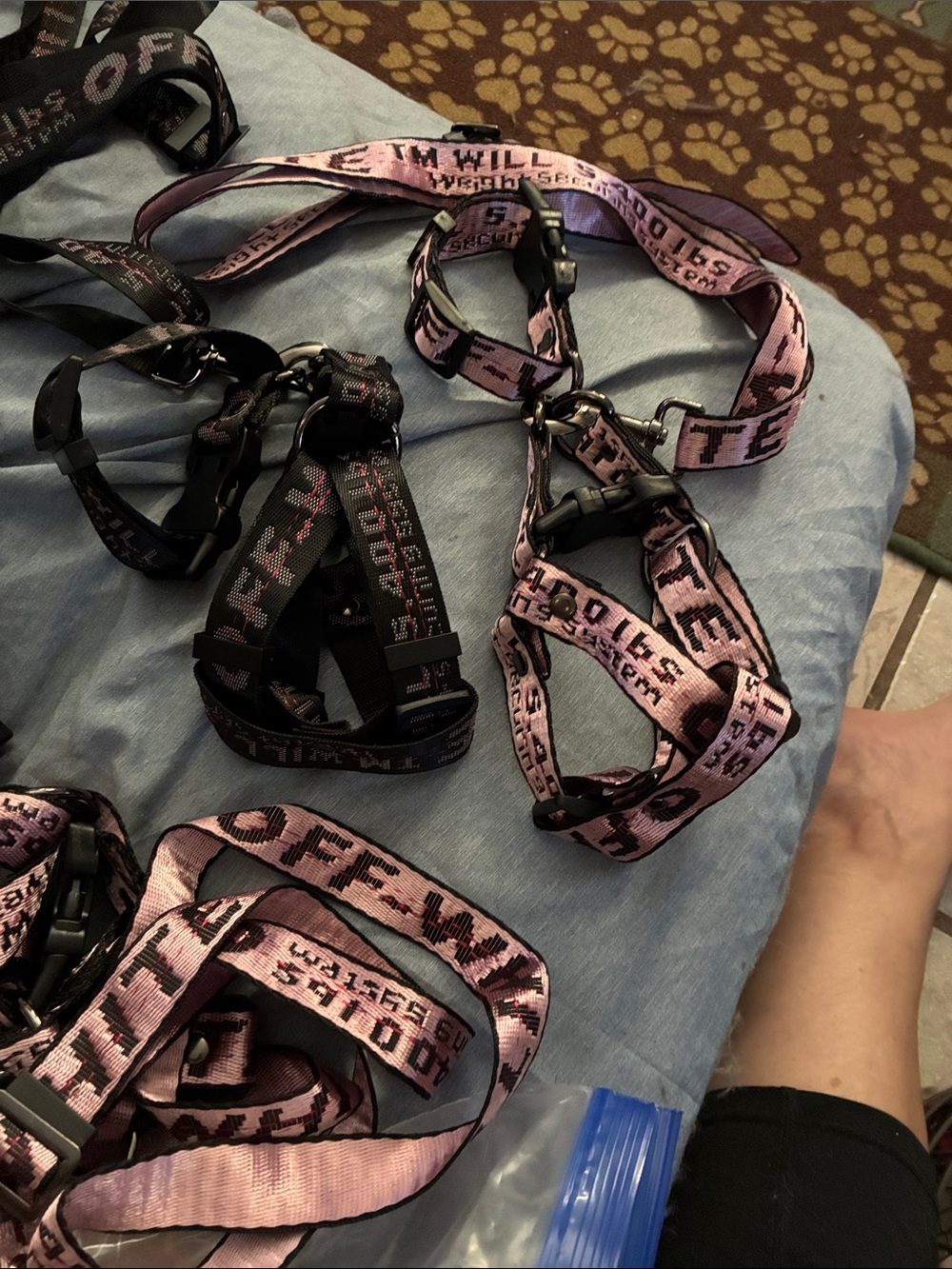 2xsmall, one small off white
Leash, collar, step in double clamp harness